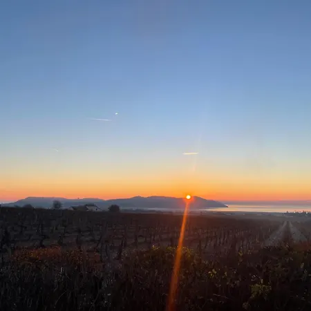 Overlooking Balaton - Tora Nezo Haziko Nyaraló Örvényes