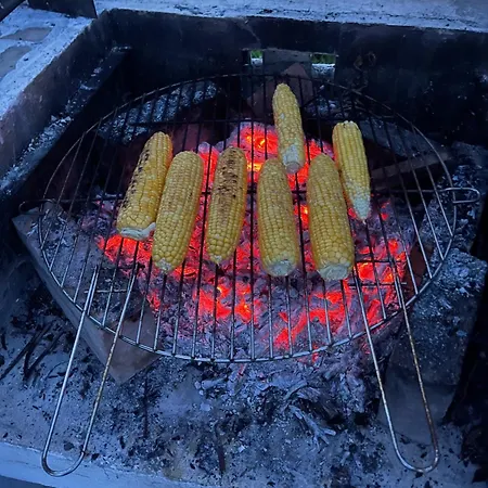 Overlooking Balaton - Tora Nezo Haziko * Örvényes