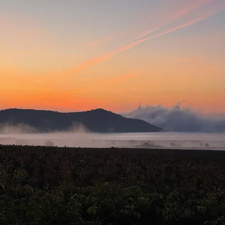 Overlooking Balaton - Tora Nezo Haziko Örvényes