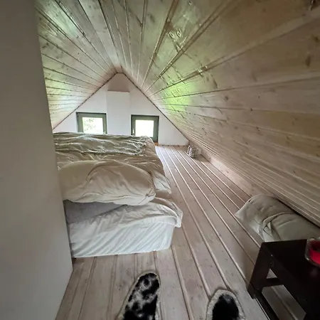 Overlooking Balaton - Tora Nezo Haziko Örvényes