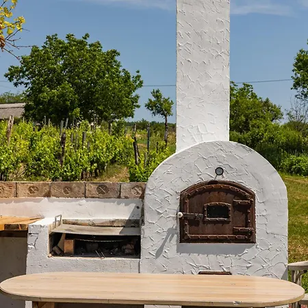 Overlooking Balaton - Tora Nezo Haziko *