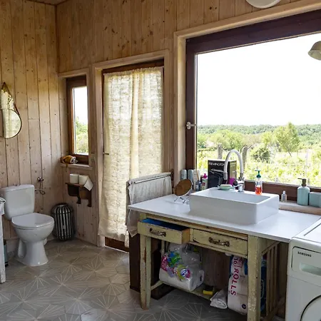 Overlooking Balaton - Tora Nezo Haziko *