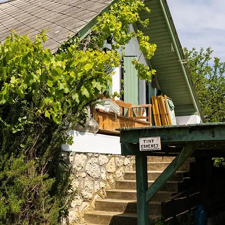 Overlooking Balaton - Tora Nezo Haziko *