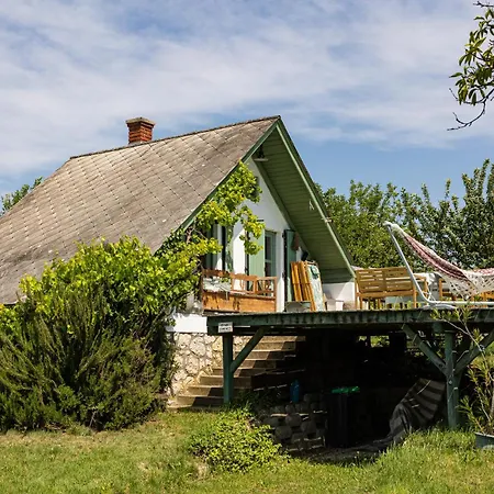 Overlooking Balaton - Tora Nezo Haziko