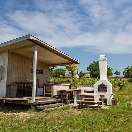 Overlooking Balaton - Tora Nezo Haziko Örvényes