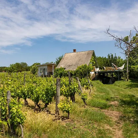 Nyaraló Overlooking Balaton - Tora Nezo Haziko